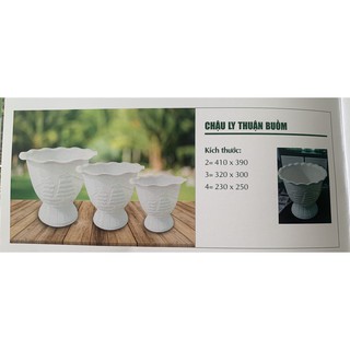 Chậu nhựa Ly thuận buồm