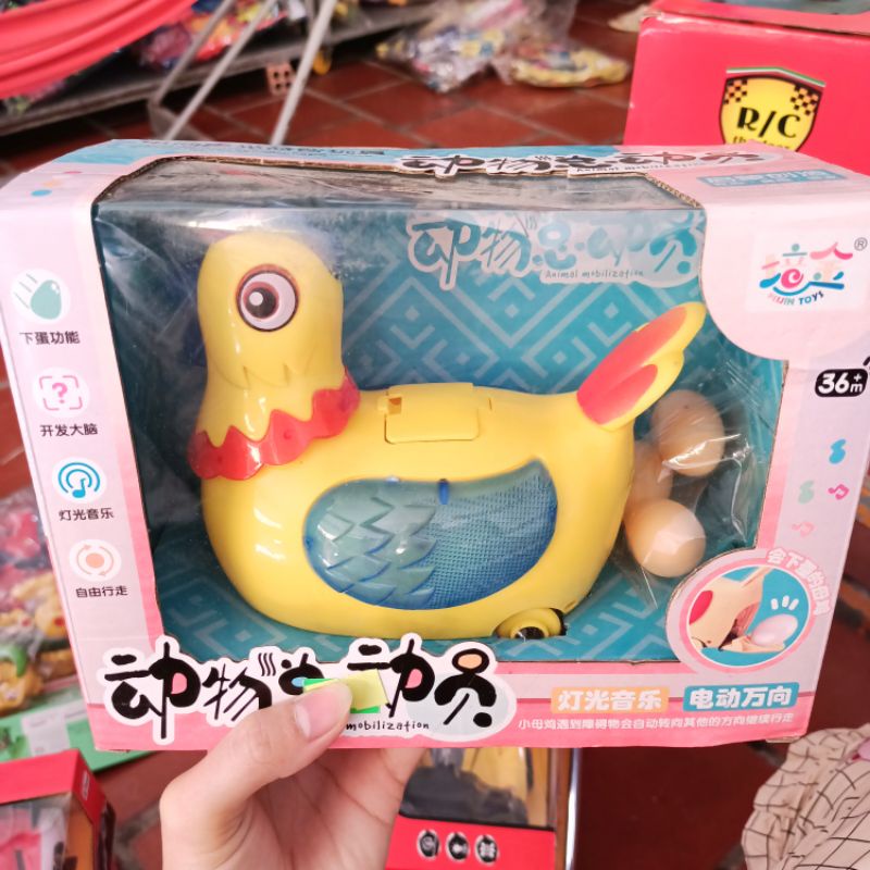 Đồ Chơi Gà Đẻ Trứng Có Nhạc Cho Bé