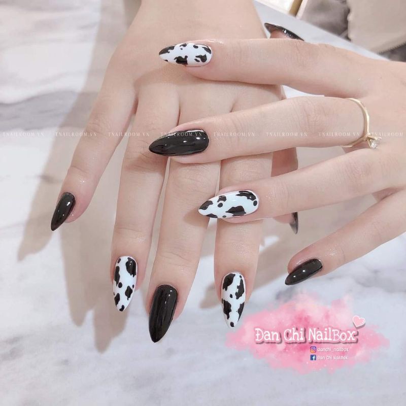 NailBox móng úp thiết kế sẵn Mẫu Đen Bò Sữa