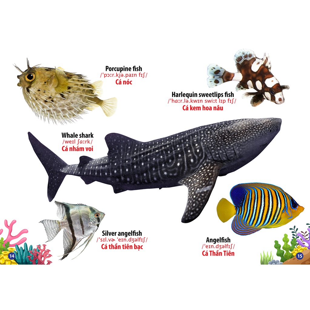 Sách - Thư Viện Hình Ảnh Song Ngữ Đầu Tiên Của Bé - Động Vật Dưới Nước