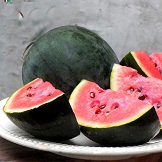 Hạt Giống Dưa Hấu ruột đỏ siêu ngọt