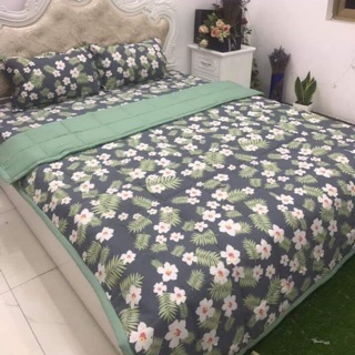 Bộ chăn hè cotton đũi