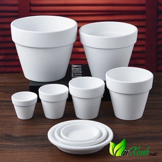 Combo 5 chậu đất nung 9x9cm