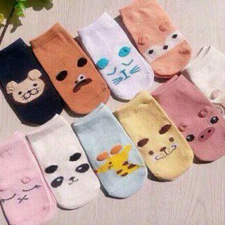 Combo 05 đôi tất Pony Kid cho bé cực ấm cực rẻ | vớ trẻ em