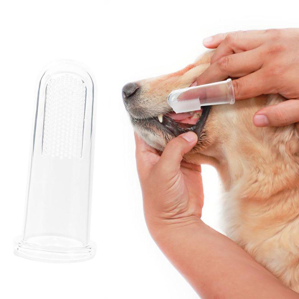 1 Bàn Chải Đánh Răng Lông Mềm Cho Chó Mèo Size Nhỏ TAYLOR1