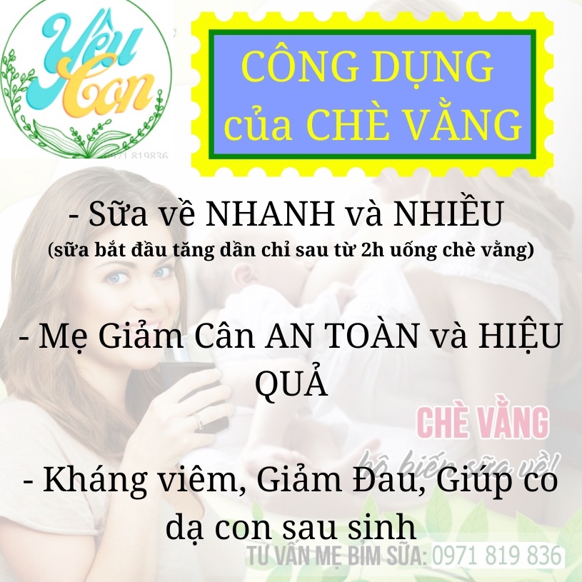 (48 -52 ngày dùng) 500gr Cao Chè Vằng Sẻ Chè Vằng nguyên chất 100% Cao Chè Vằng Lợi Sữa Giảm Cân