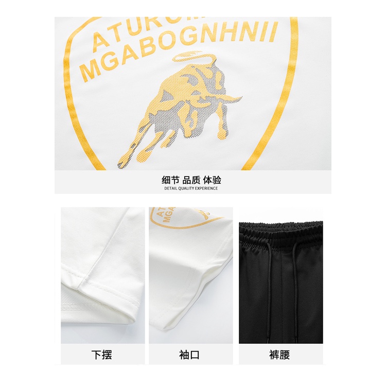 Set Đồ Thể Thao Ngắn Tay Phong Cách Hàn Quốc Dành Cho Nam