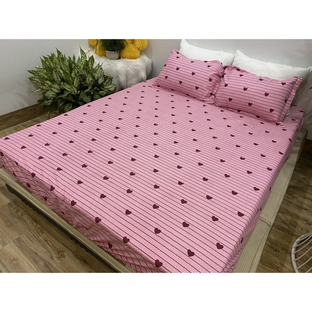 Bộ ga gối 3 món mẫu DÂU HỒNG m2/m6/m8/2m2, drap bo chun + 2 vỏ gối poly cotton, ga giường bo chun giá rẻ