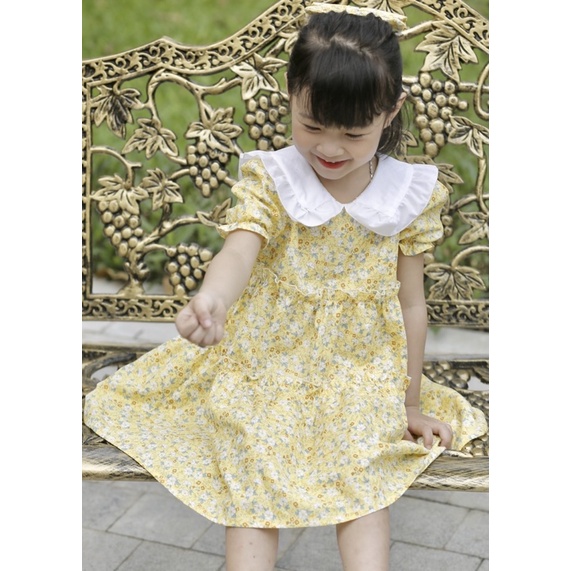 Váy thô hoa nhí bèo cổ cho bé gái