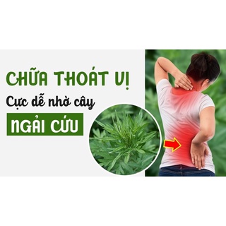 Ngải Cứu 500g (Lá Ngải Cứu Khô,Không Lẫn Cành)