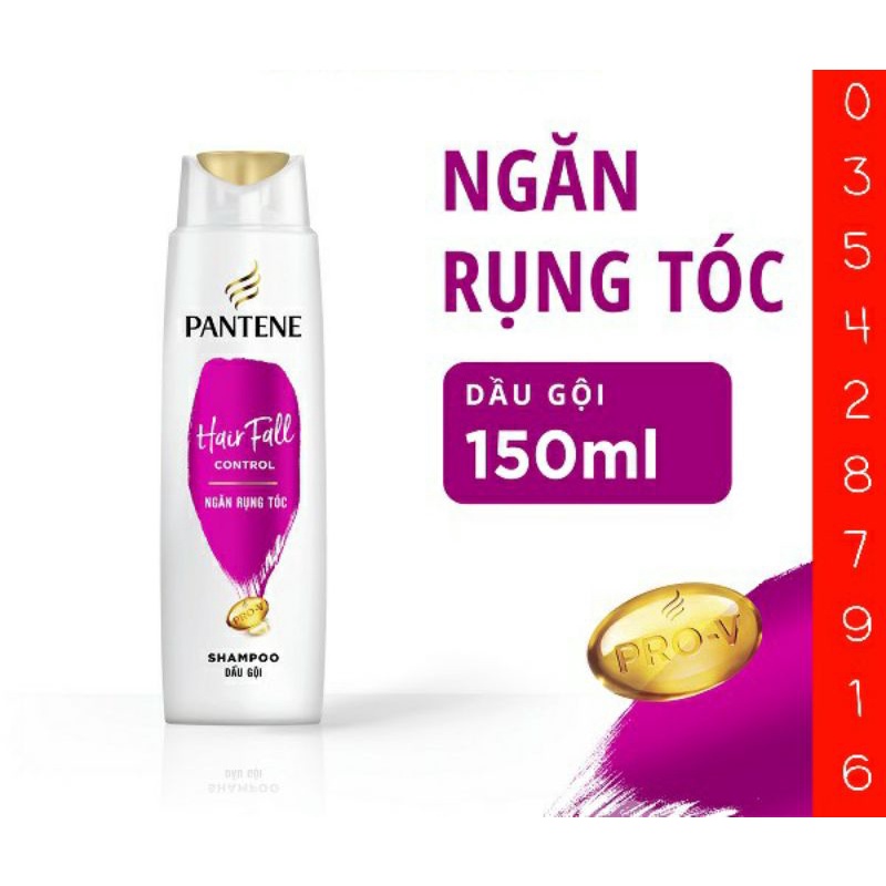 Dầu gội PANTENE 300ml