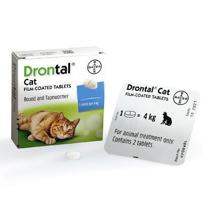 [Rẻ vô địch] [Có sẵn] Thuốc sổ giun cao cấp cho mèo Drontal Cat cho mèo 4kg