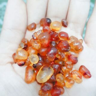 Combo chè dưỡng nhan, hạt é cho khách