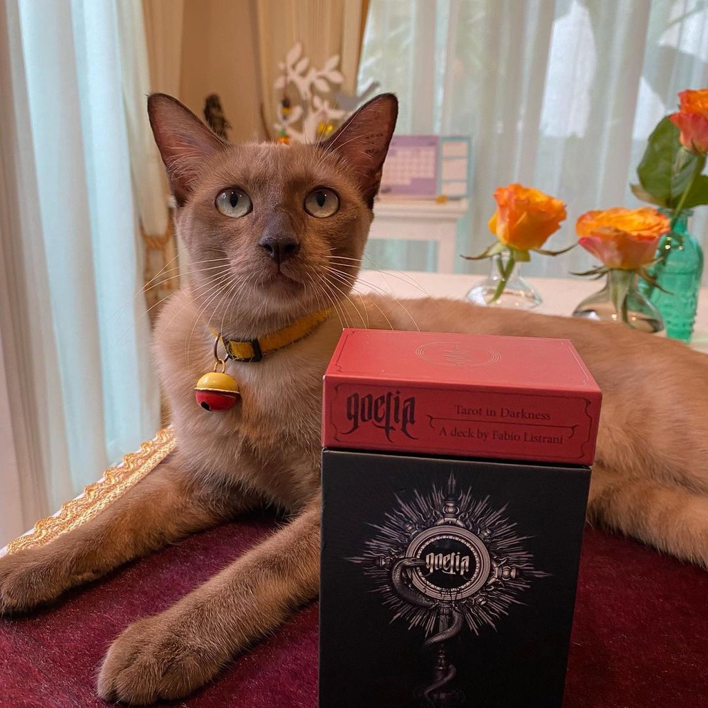 Bài Goetia Tarot in Darkness