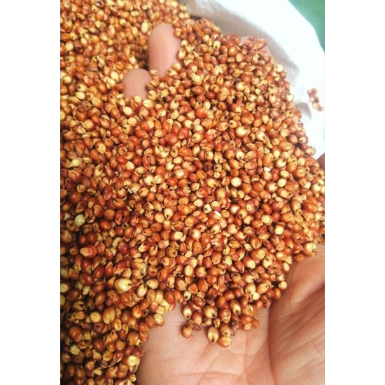 Hạt kham - Hạt ba khía - Hạt hướng dương 1kg