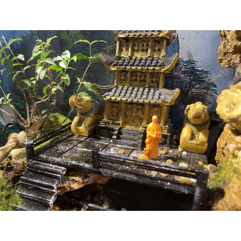 Siêu phẩm hồ bán cạn tiểu cảnh Phật giáo by Kelsey Mặt Trời Vàng