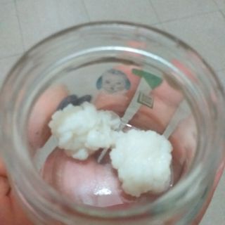 Nấm kefir làm sữa chua hy lạp