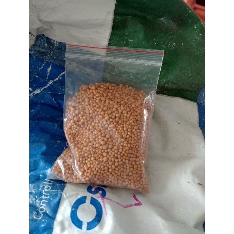 100g phân tan chậm vàng 14 14 14 cho sen đá xương rồng  hoa lan cây cảnh kim tien cây nội thất