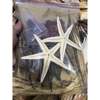 Combo Cá Ngựa Ngâm Rượu 300k