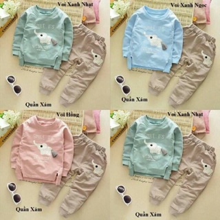 Combo Bộ cotton cho bé