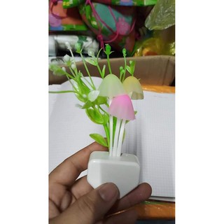 Đèn ngủ hình nấm cảm ứng