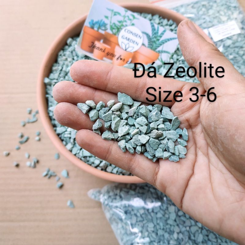Đá Zeolite - Giá Thể Trồng Sen Đá - Đá Rãi Mặt