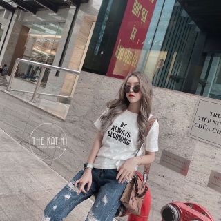 Combo 2 áo phông