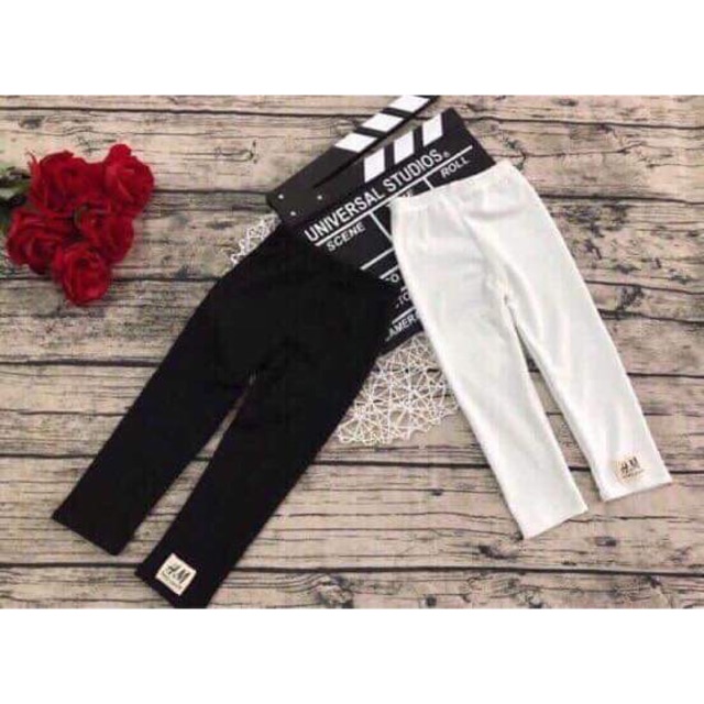 Sỉ 20 quần legging hm