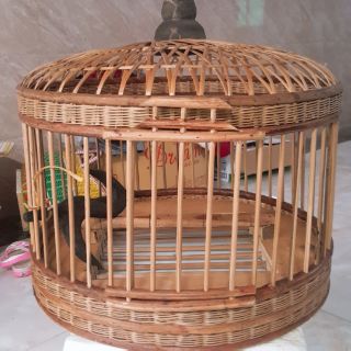 Lồng nuôi chim cu gáy