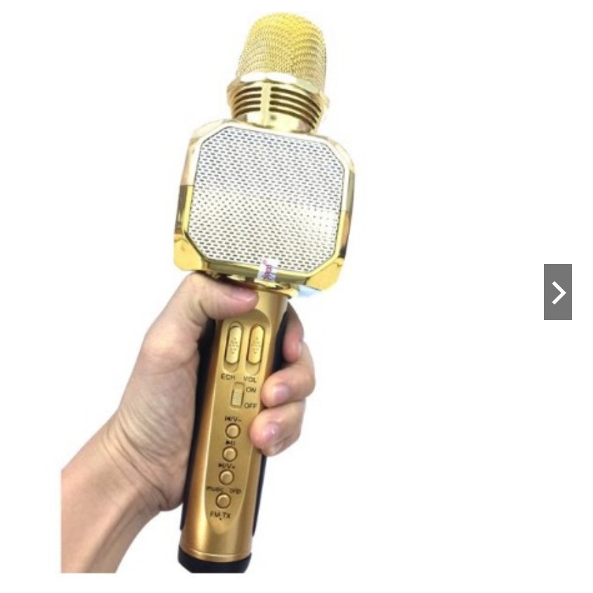 Mic hát Karaoke SD-10 SDRD