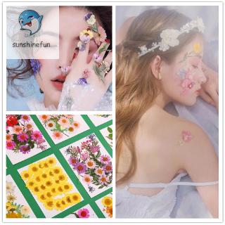 Hoa Ép Khô Dùng Để Trang Trí Diy