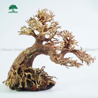 Lũa Bonsai, Lũa thủy sinh dùng trang trí hồ cá cảnh, hồ thủy sinh, văn phòng, nhà cửa (GH-BSR/21)