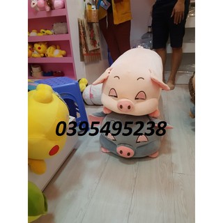 Lợn Híp lười biếng