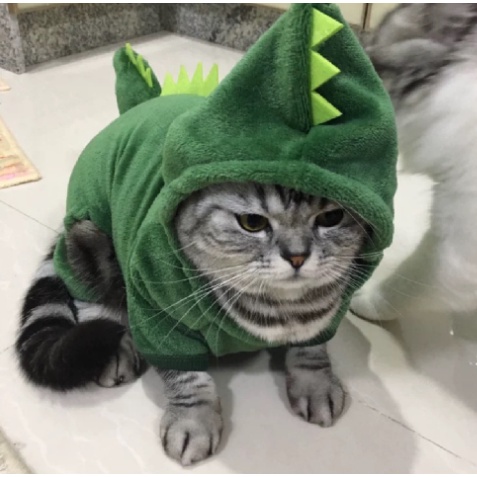 Áo Hoodie nhung khủng long cho thú cưng giữ ấm mùa đông đáng yêu, áo nhung có mũ khủng long cho chó mèo