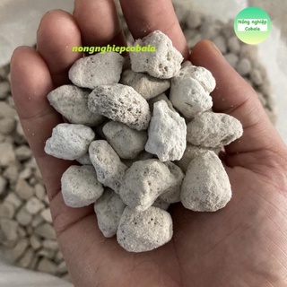 Đá bọt pumice trồng cây, hoa kiểng