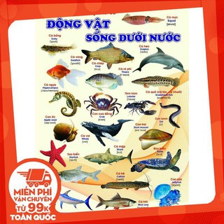 BẢNG ĐỌC TRANH TREO 5 TỜ CHO BÉ Tuanh_shop