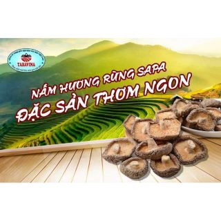 Nấm hương rừng sa pa tui 200g hàng đặc biệt cắt chân