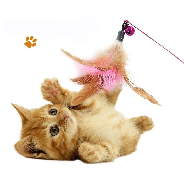 Cần câu mèo đồ chơi dây thép lông vũ