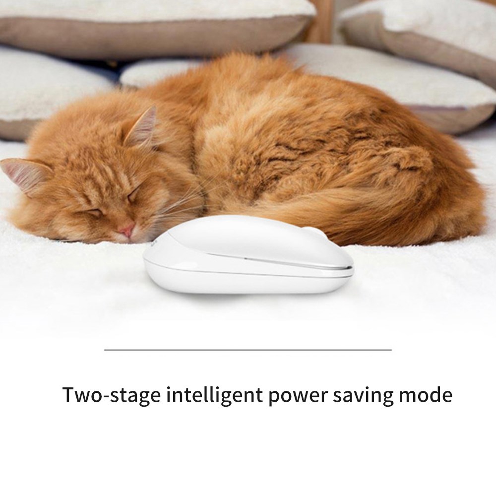 Chuột máy tính không dây Asus 2.4GHz kèm đầu nhận USB | BigBuy360 - bigbuy360.vn