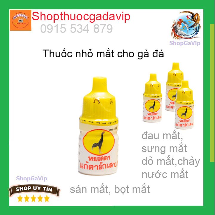 Thuôc nhỏ mắt cho gà đá bị bọt mắt sưng mắt sán mát