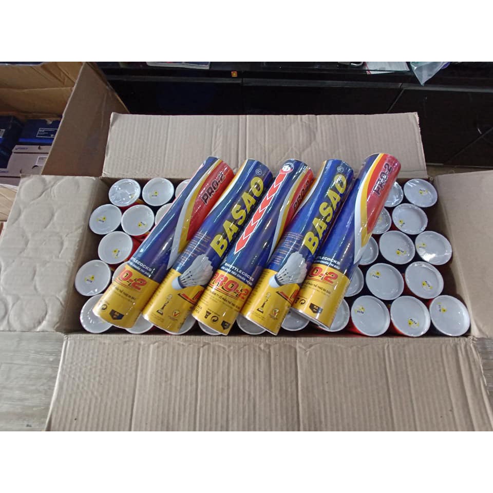 Hộp Cầu Lông Ba Sao Pro-2 Tím/vàng Loại 51/78 – Chơi Ngoài Trời