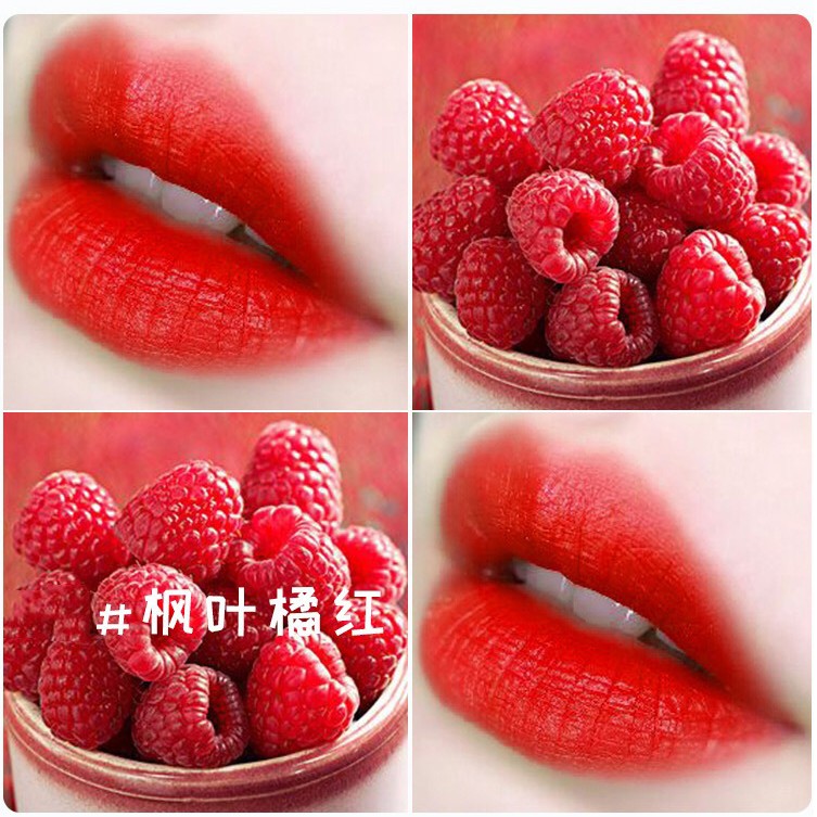 Set son kem lì 5 cây Ershiqi Hồ Ly Senabeauty | BigBuy360 - bigbuy360.vn