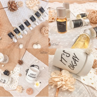 Tinh dầu Hương Thảo nguyên chất 100% 10ml - Rosemary Essential Oil 10ml
