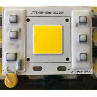 10 Nhân led 50W-220V