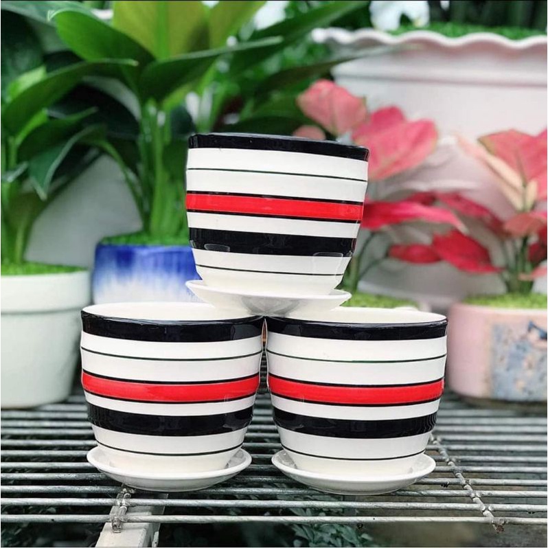 CHẬU SỨ HOA KÈM ĐĨA LÓT CHÂN nhiều size