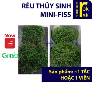 Rêu thủy sinh MINIFISS dạng thảm hoặc ôm đá GÓI LẺ 1 tấm hoặc 1 viên
