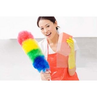 Chổi lông gà lớn dây nylon