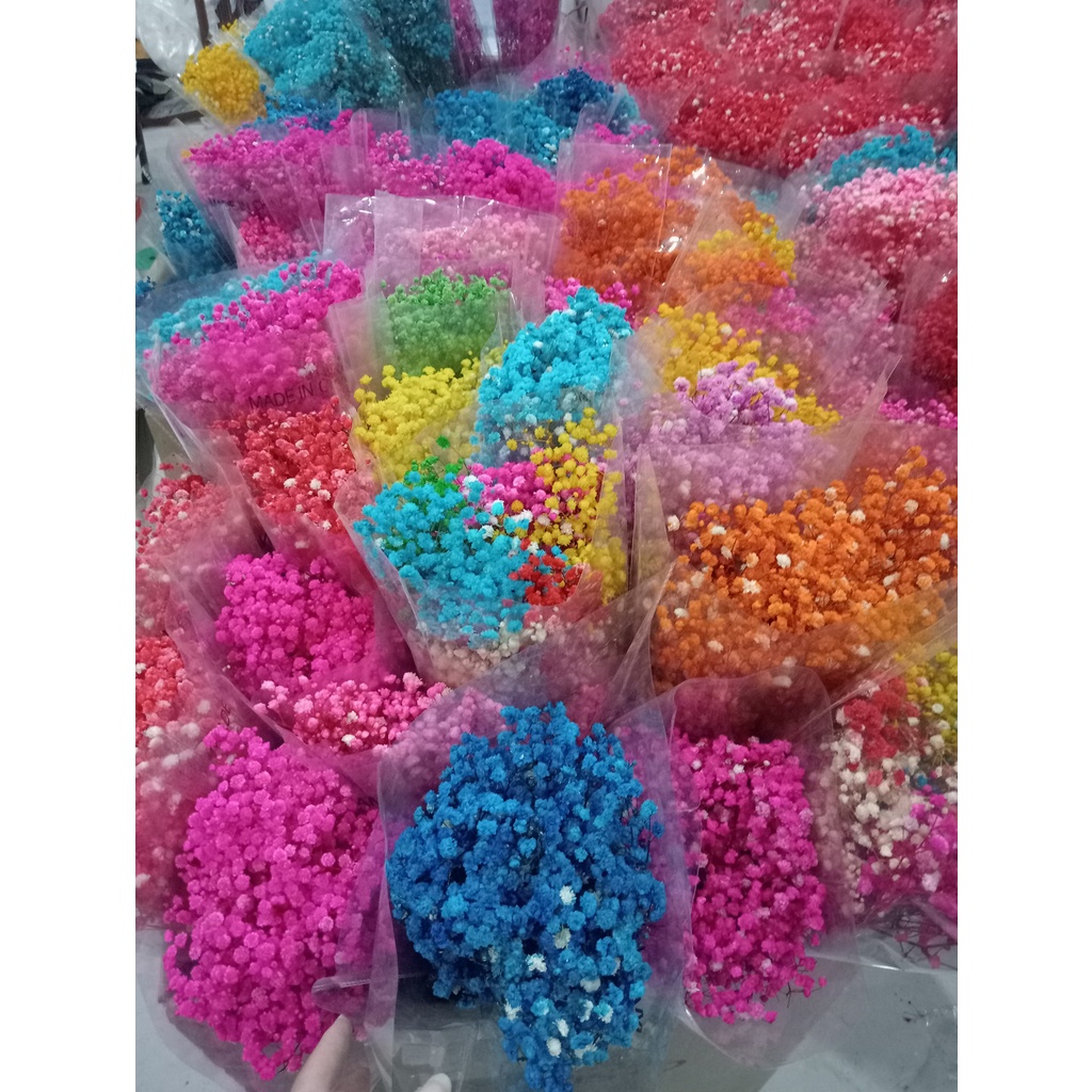 Hoa Baby tự nhiên sấy khô ướp màu dùng trang trí nhà