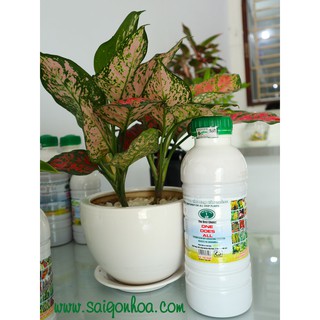 Phân hữu cơ sinh học wehg 1l