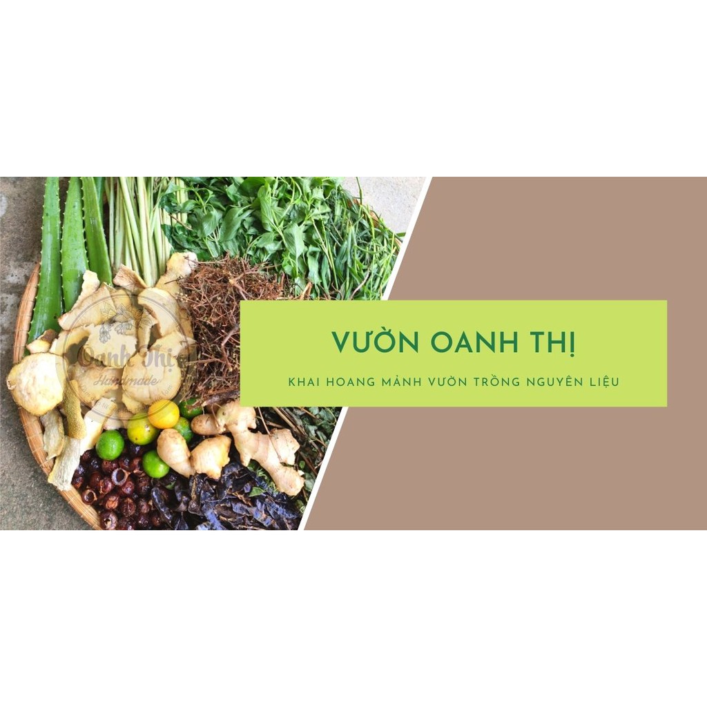 Dầu gội bồ kết thảo dược Vườn Oanh Thị, khép kín từ nguyên liệu đến tự nấu tại vườn,kích thích mọc tóc, phục hồi tóc